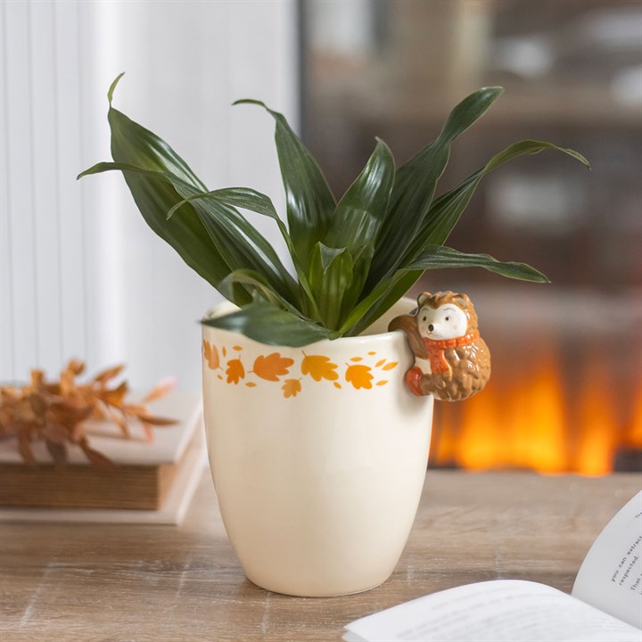Potted plant with a decorative hedgehog on a table in front of a fireplace
