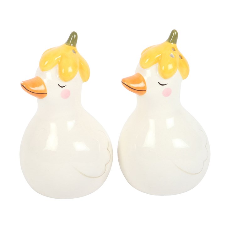 Ceramic Daisy & Duck Salt and Pepper Shakers