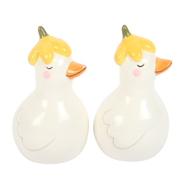 Ceramic Daisy & Duck Salt and Pepper Shakers